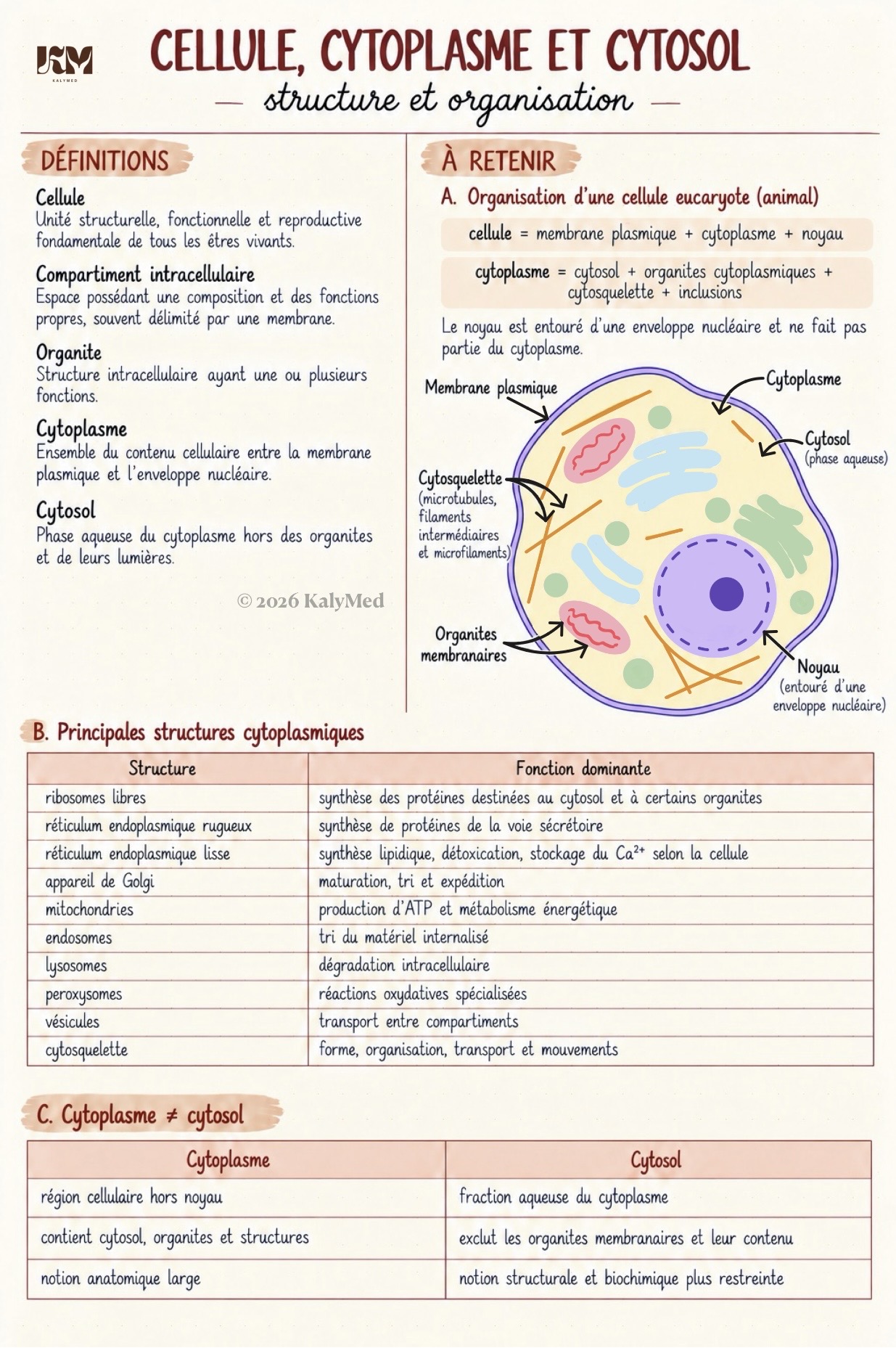 Première page — Cellule, cytoplasme et cytosol