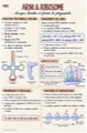 Première page — Code génétique et traduction