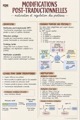Première page — Modifications post-traductionnelles