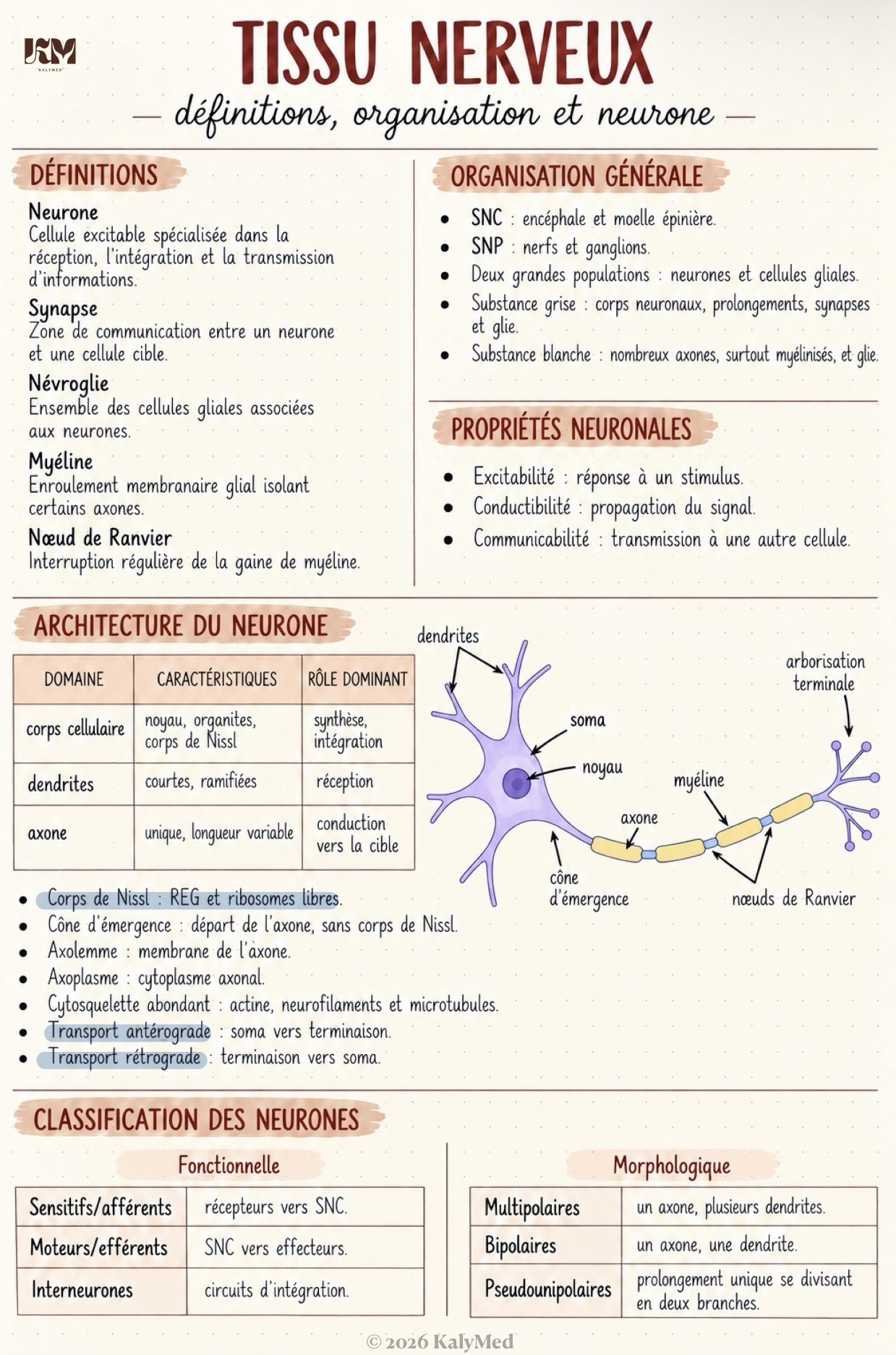 Première page — Tissu nerveux