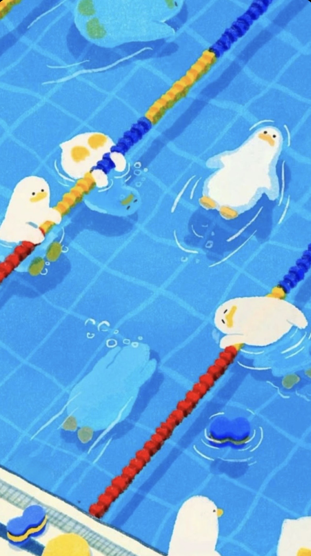 Les canards nageurs